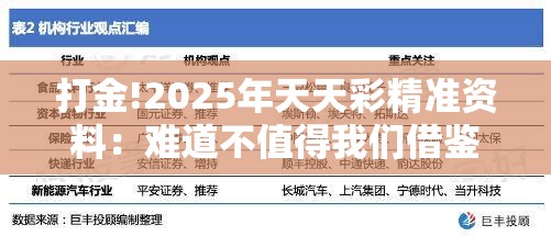 打金!2025年天天彩精准资料：难道不值得我们借鉴？相信作答落实解释