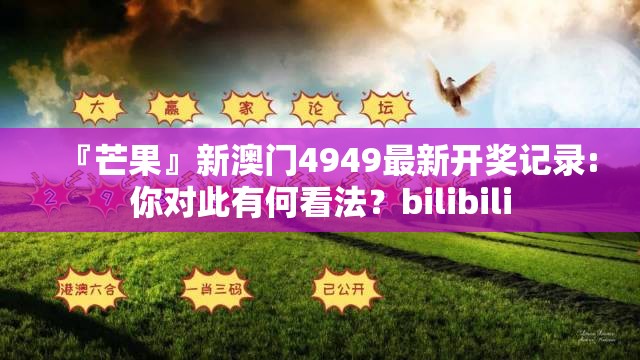 『芒果』新澳门4949最新开奖记录:你对此有何看法？bilibili