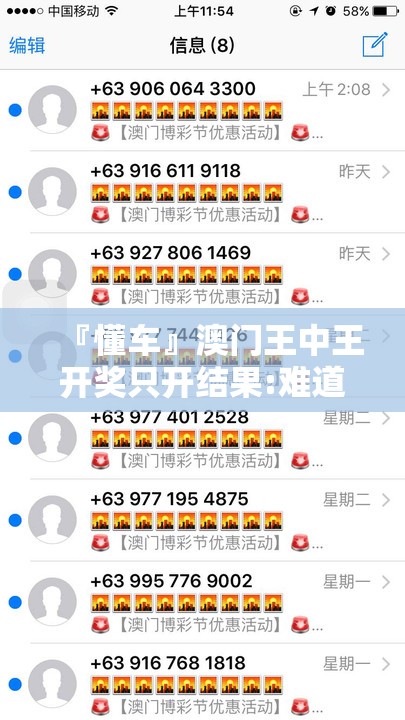 『懂车』澳门王中王开奖只开结果:难道不值得你参与其中？正确解释与落实