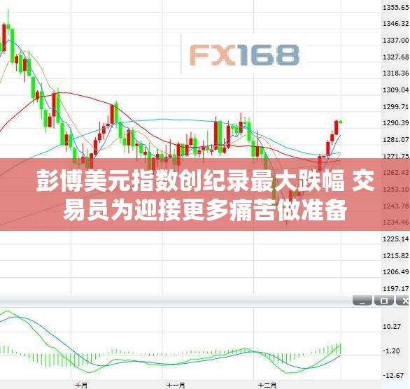 彭博美元指数创纪录最大跌幅 交易员为迎接更多痛苦做准备
