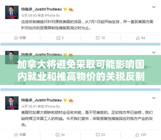 加拿大将避免采取可能影响国内就业和推高物价的关税反制措施