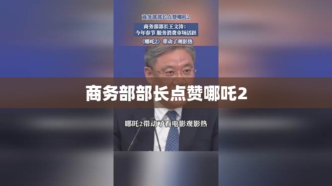 商务部部长点赞哪吒2