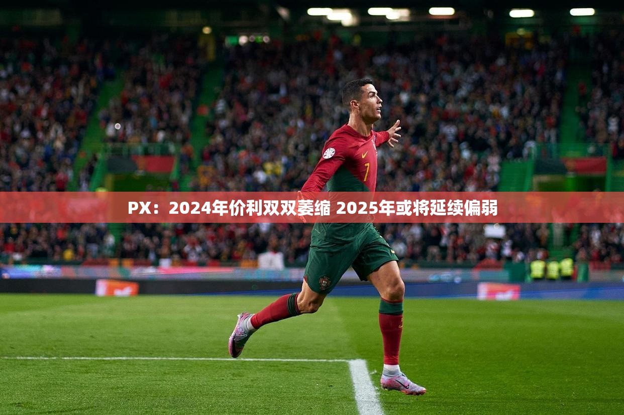 PX：2024年价利双双萎缩 2025年或将延续偏弱